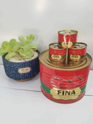 Canned Tomato Paste